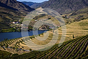 Scenic view of the beautifull Douro Valley with vineyards and terraced slopes in the Douro Region
