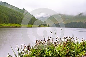 Scenic view of a beautlful lake with hills covered by thick rain photo