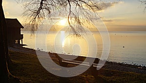 scenic view of a bench by lake Ammersee at sunset and a boat house in backgound (Herrsching,Germany)