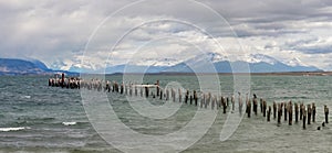 Scenic View of Birds Resting on Old Pier with Mountains