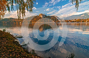 Scenic view of Bled lake at sunny autumn day