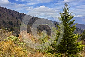 Scenic View of the Blue Ridge Parkway in North Carolina