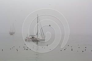 Scenic view of boats on a fog day