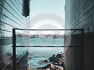 Scenic view of Boston Harbor and seagulls.