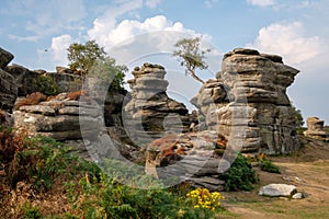 Scenic view of Brimham Rocks