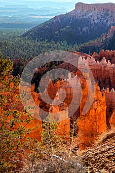 Scenic View of Bryce Canyon