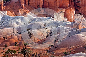 Scenic view of Bryce Canyon