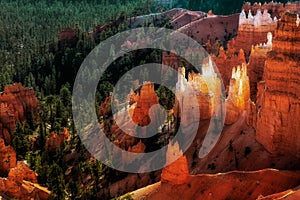 Scenic view of Bryce Canyon