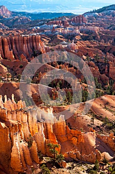 Scenic View of Bryce Canyon