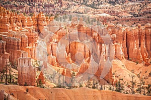 Scenic view of the Bryce Canyon National Park on a sunny day