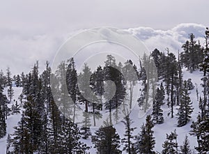 Scenic view of Bryce Canyon National Park in winter