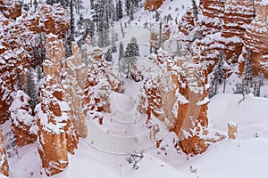 Scenic view of Bryce Canyon National Park in winter