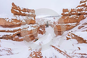 Scenic view of Bryce Canyon National Park in winter