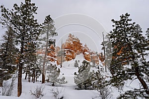 Scenic view of Bryce Canyon National Park in winter