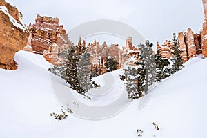 Scenic view of Bryce Canyon National Park in winter