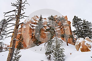 Scenic view of Bryce Canyon National Park in winter