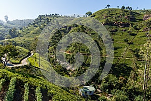 Scenic view of building on hill covered with tea plantations, sri lanka,