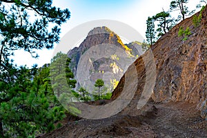 Scenic view on Caldera de Taburiente with green pine forest, ravines and rocky mountains near viewpoint Cumbrecita, La Palma,