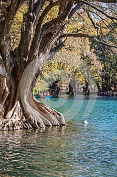 Scenic view of Camecuaro, Tangancicuaro, Michoacan, Mexico photo