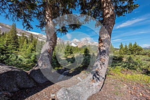 Scenic view on Canadian Rockies in Banff National Park, Alberta Canada.