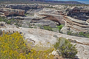 Scenic view of Canyon Lands in summer.