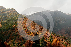 Scenic view of Carpathian Mountains in Romania in fall colors