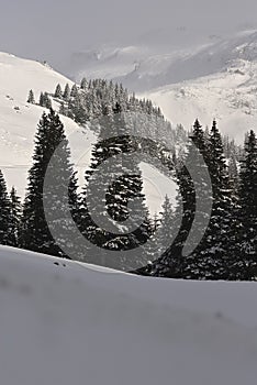 Scenic view of Carpathian Mountains during the winter with cabins or various human settlements