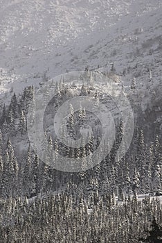 Scenic view of Carpathian Mountains during the winter with cabins or various human settlements