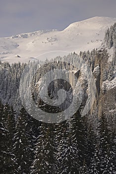 Scenic view of Carpathian Mountains during the winter with cabins or various human settlements photo