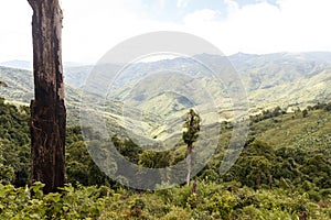 Scenic View, Chin Stae, Myanmar