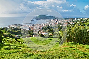Scenic view of the city of Horta located on the island of Fayal, Azores photo
