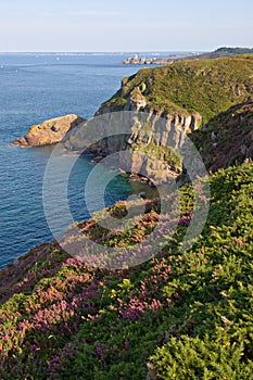 Scenic view of the Cliffs in the brittany coast