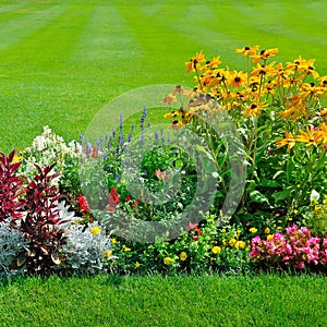 Scenic View of Colourful Flowerbeds, a Lush Green Lawn