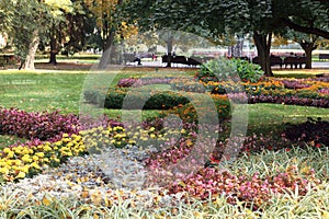Scenic View of Colourful Flowerbeds and a Winding Grass Lawn
