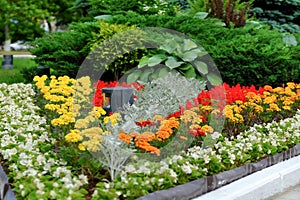 Scenic View of Colourful Flowerbeds and a Winding Grass Lawn Pathway in an Attractive Formal Garden