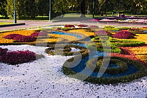 Scenic View of Colourful Flowerbeds and a Winding Grass Lawn Pathway in a Garden