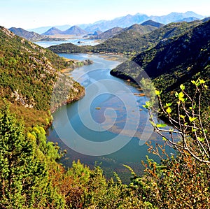 Scenic view of Crnojevica river in Skadar lake national park