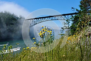 Scenic view of Deception Pass Bridge in summer day with fog and wildflowers on cliff.