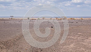 Scenic view of desert landscape in Loiyangalani District, Turkana County, Kenya