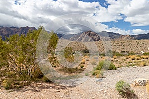 Scenic view of the desert and unique rock formations at Red Rock Canyon