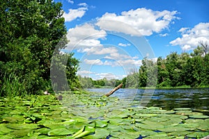 Scenic view of the Dnieper River in sunny day