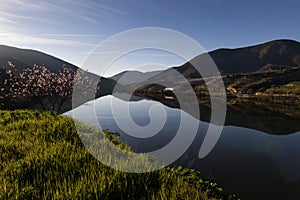 Scenic view of the Douro River with terraced vineyards near the village of Foz Coa, in Portugal