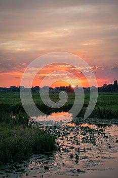 Scenic view of the dutch polder landscape at sunset, close to Gouda, Netherlands