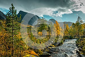 Scenic view of Efjorddalen valley wilderness photo