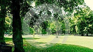 Scenic view of an empty park