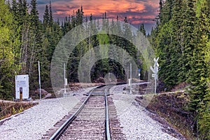 Scenic view of empty railroad tracks amid fir forest in Denali park at red sunset, Alaska