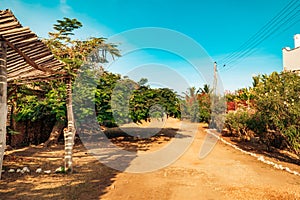 Scenic view of an empty street amidst trees in Malindi Town, Kilifi County, Kenya