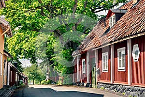 Scenic view of an empty trail near rural red houses and green trees