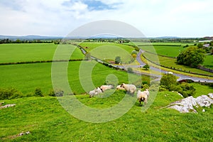 Scenic view of endless lush pastures and farmlands of Ireland. Irish countryside with emerald green fields and meadows. Rural