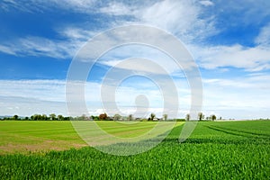 Scenic view of endless lush pastures and farmlands of Ireland. Irish countryside with emerald green fields and meadows. Rural